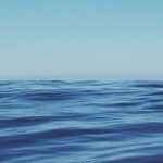 photo-1441829266145-6d4bfbd38eb4-1200x1195-1