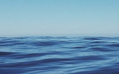 Meditation Only Goes So Far
