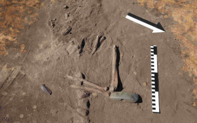 Excavation in Poland reveals Stone Age man buried with decapitated heads and a tooth necklace