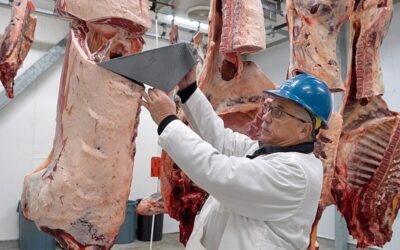 DOJ Announces Walmart, Costco, Amazon Are Under Investigation in Beef Affordability Probe