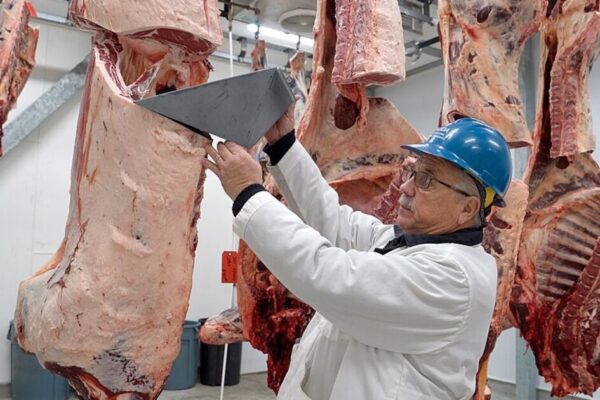 DOJ Announces Walmart, Costco, Amazon Are Under Investigation in Beef Affordability Probe