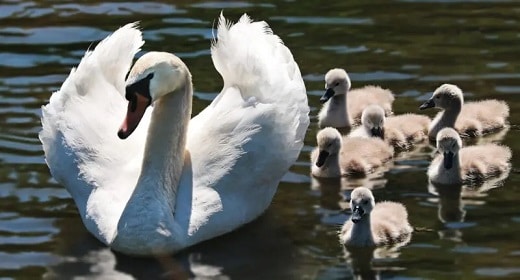 Three Archetypes You’re Likely to Meet as a Mother