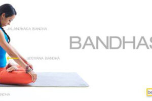 The Bandhas—Gateways to Developing Core Strength, Sensitivity, And Subtlety