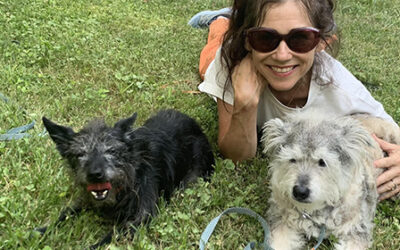 On Losing a Pet II: Licks from Beyond – Donna Quesada Schollhammer