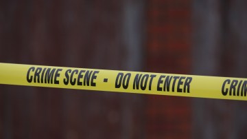Tasia Fortune police homicide suicide autopsy results investigationJackson Mississippi tree