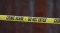 Tasia Fortune police homicide suicide autopsy results investigationJackson Mississippi tree