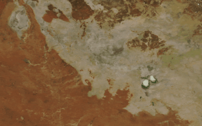 Ghostly green lakes merge in Australian outback after 2 years of heavy rain — Earth from space