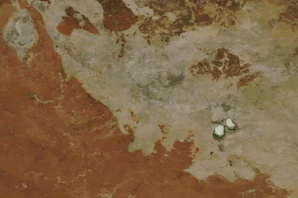 Ghostly green lakes merge in Australian outback after 2 years of heavy rain — Earth from space