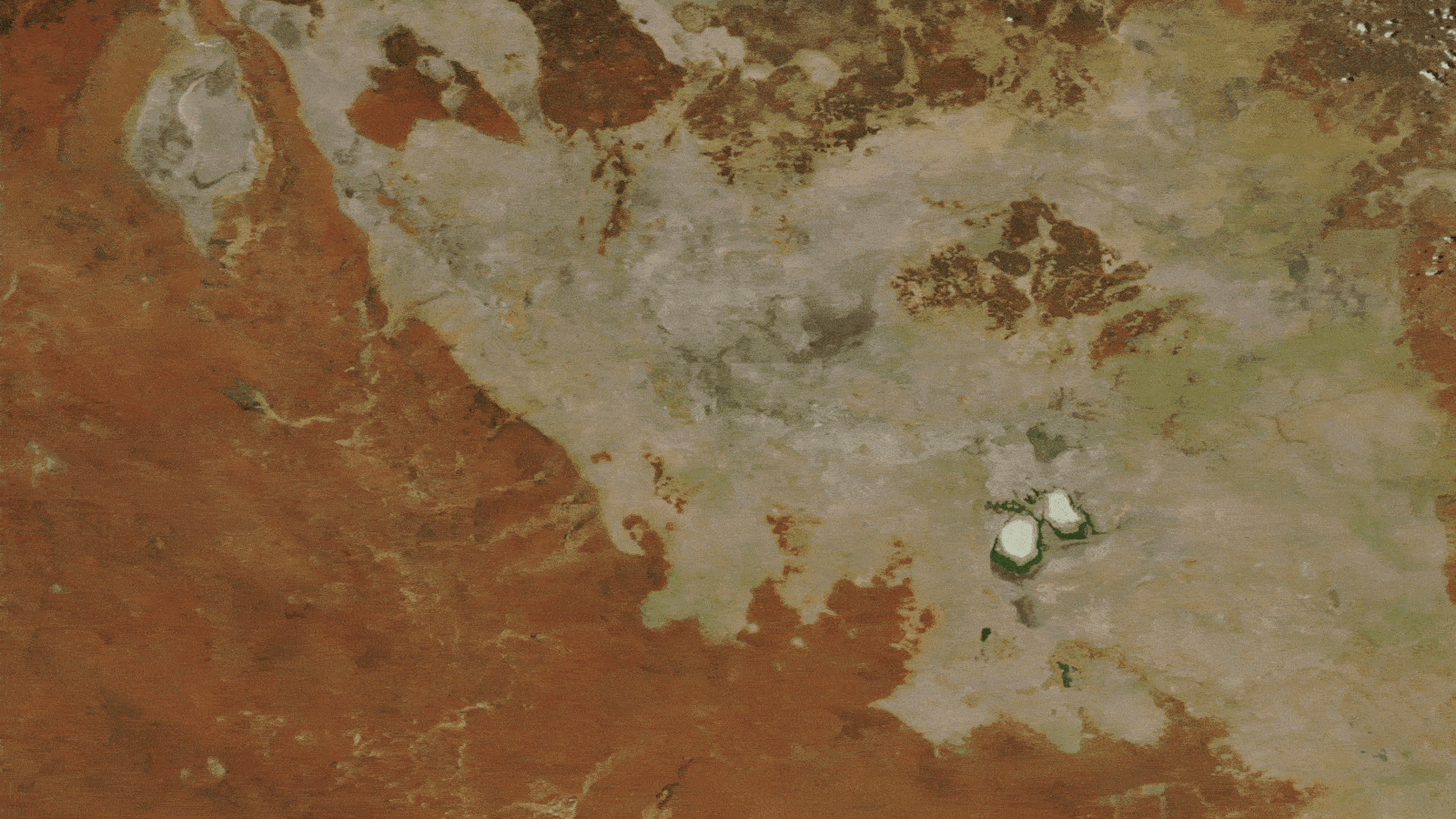 Ghostly green lakes merge in Australian outback after 2 years of heavy rain — Earth from space